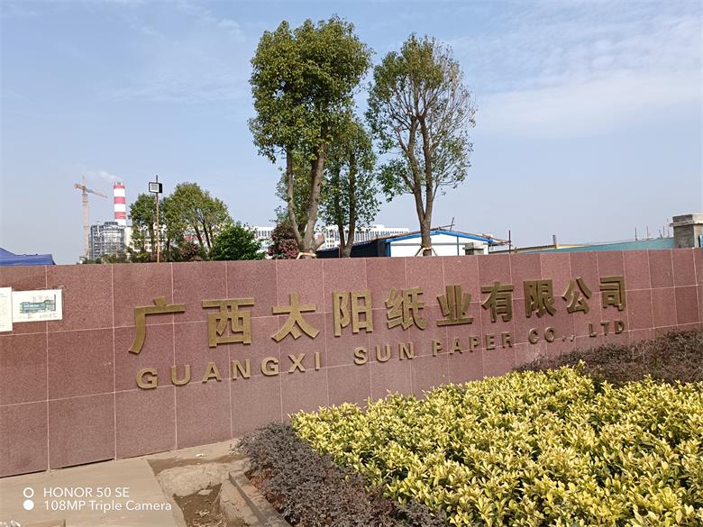 安徽廣西太陽紙業有限公司