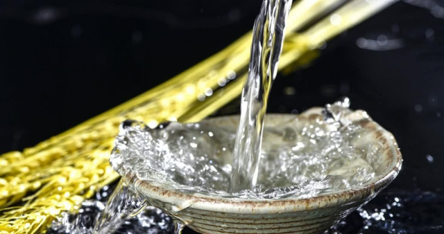 七星關你一定想象不到食品生產線,有SWISA的一份功勞!